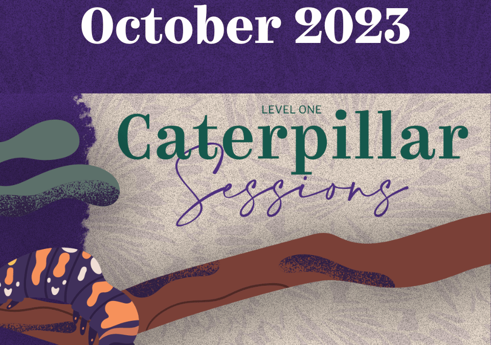 Level 1: Caterpillar – October 2023 Cohort (Virtual)